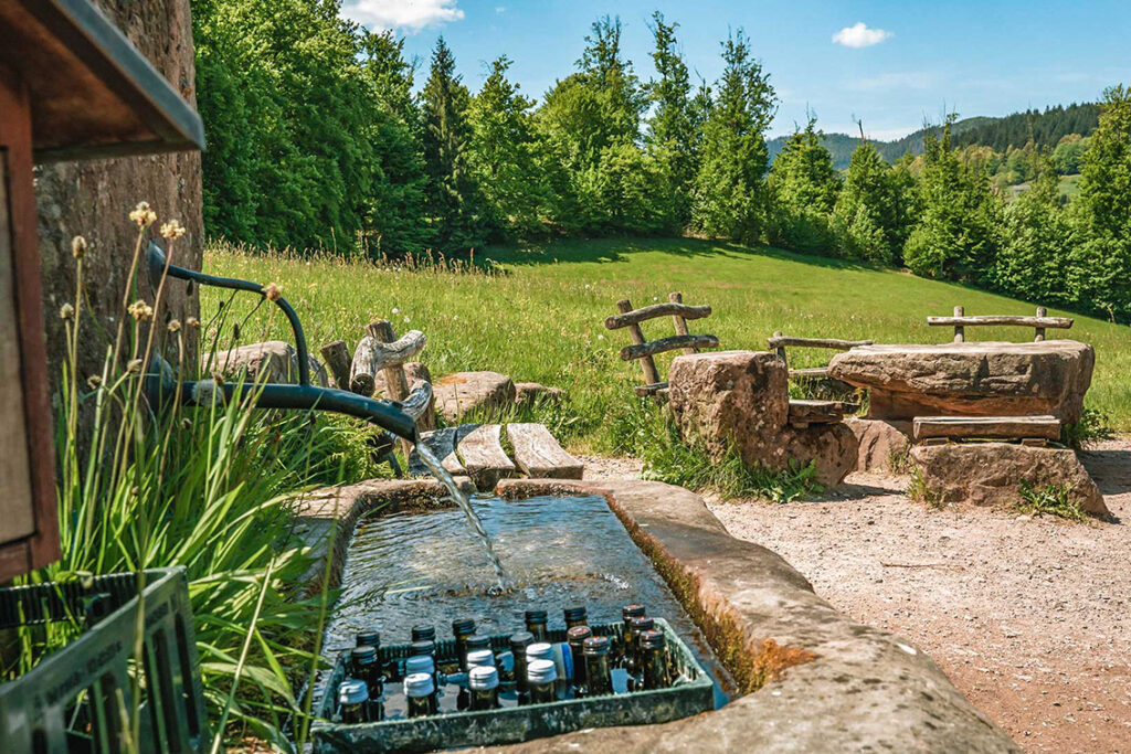 Foto von einem Weinbrunnen mit gekühlten Weinflaschen an einem Rastplatz