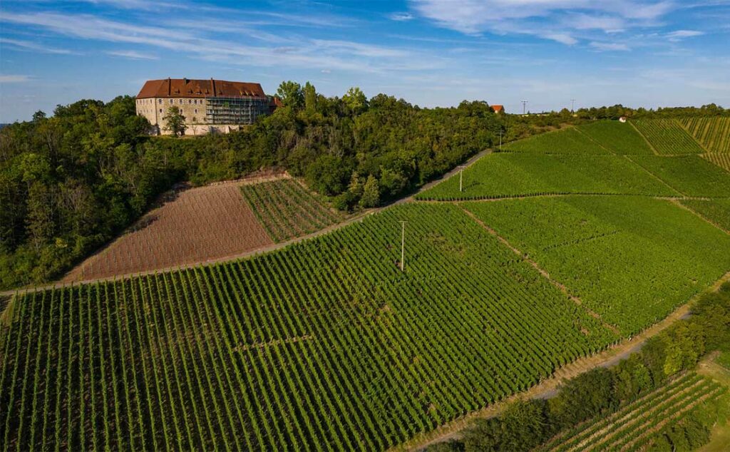 Foto von den Weinbergen im Ort Ipsheim und der Burg Hocheneck