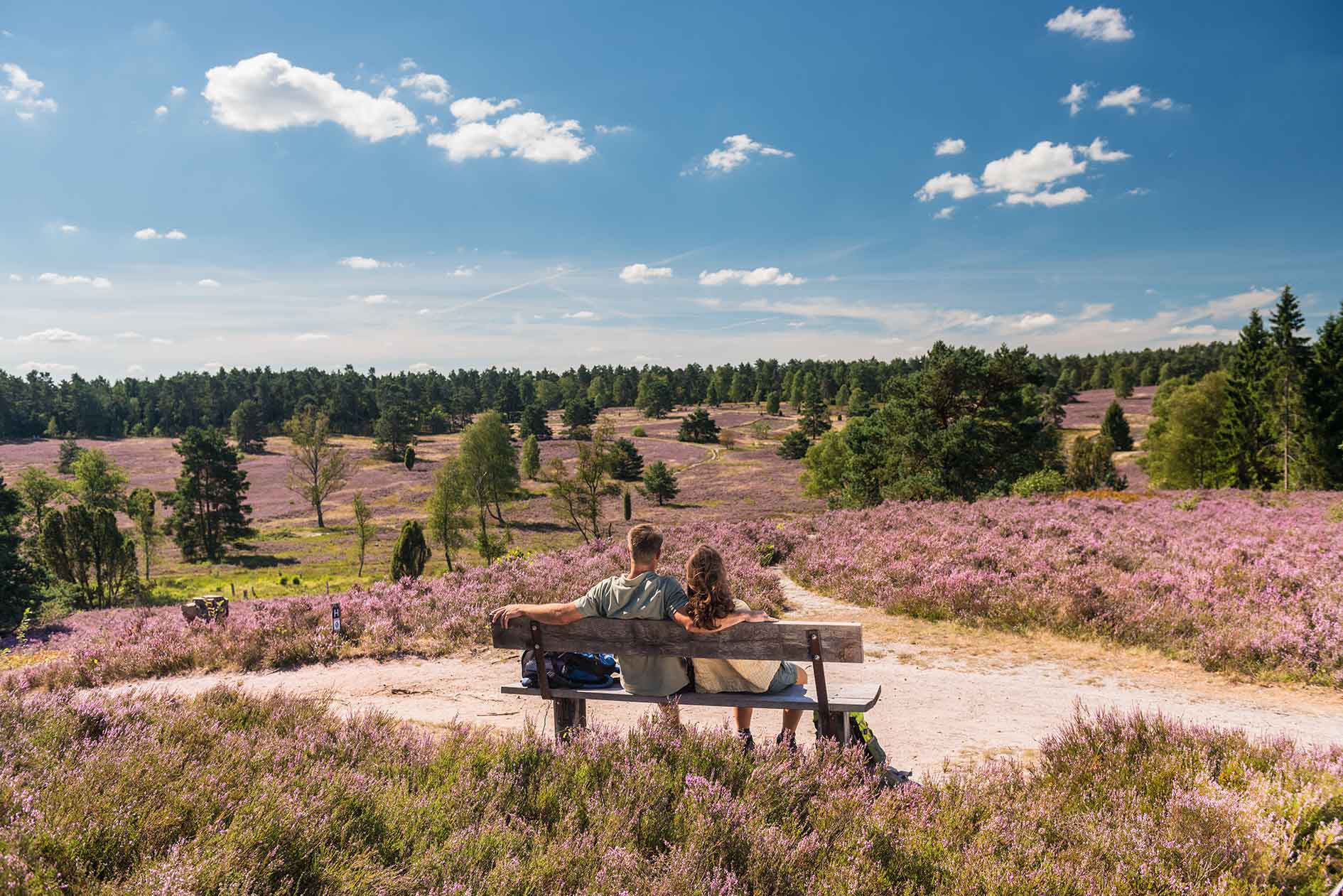 Paar auf Bank in Lüneburger Heide