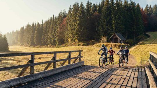 Cyclists in mountain landscape