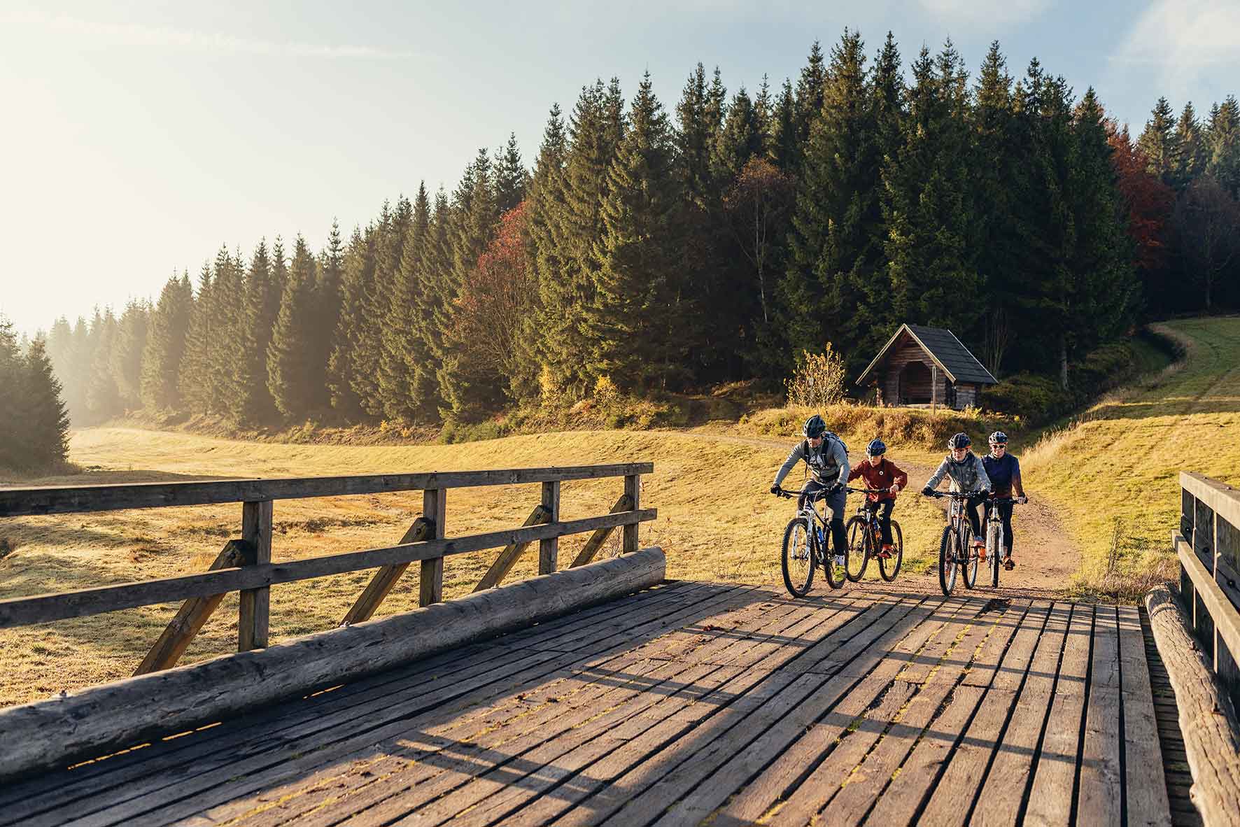 Cyclists in mountain landscape