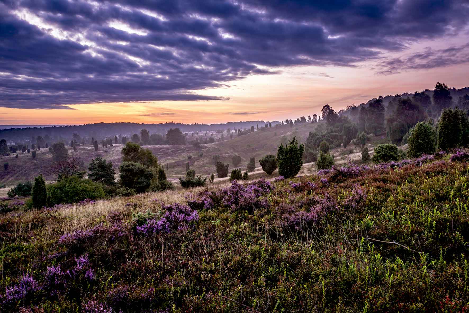 Sonnenuntergang Lüneburger Heide