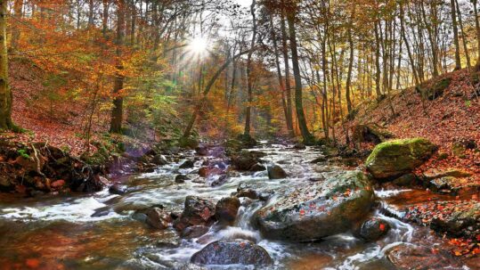 Ilsetal im Harz