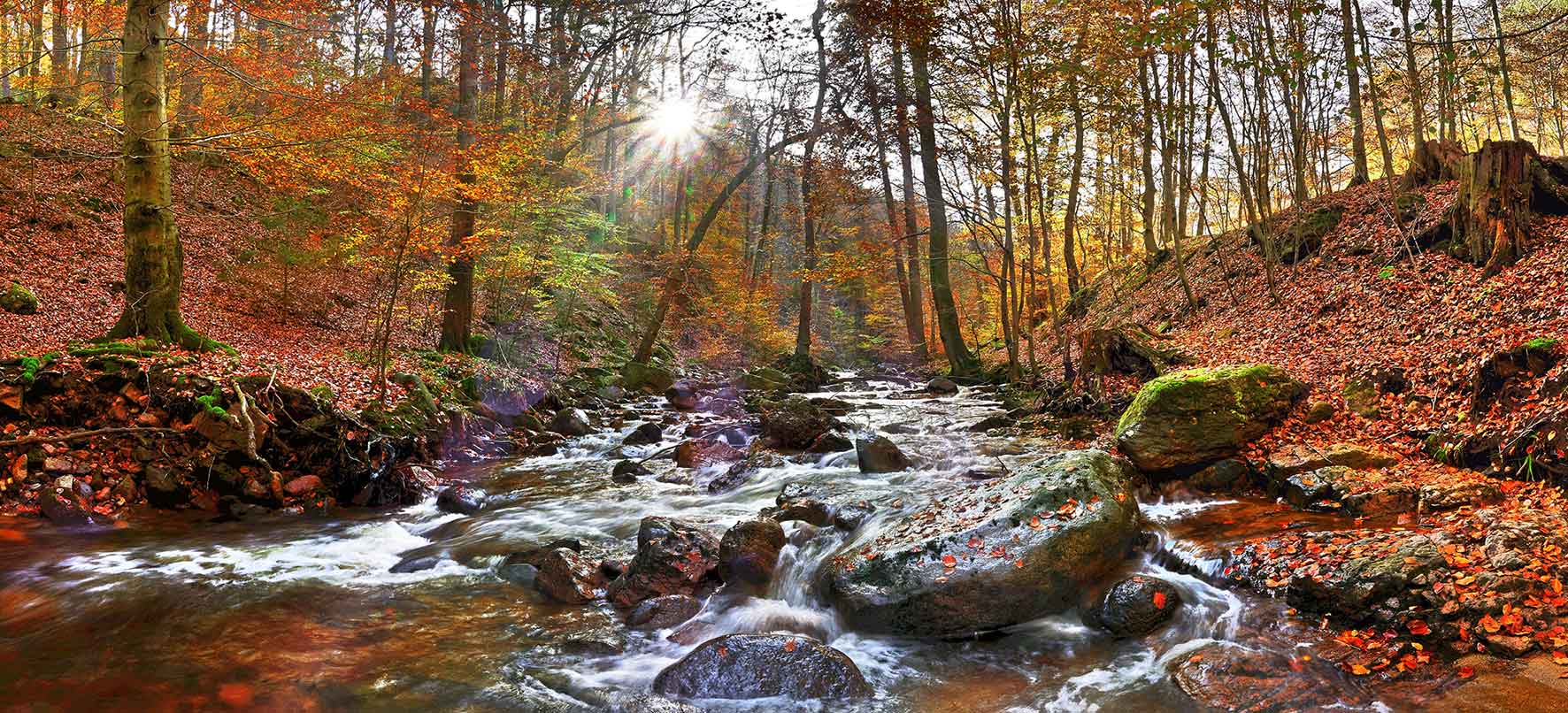 Ilsetal im Harz