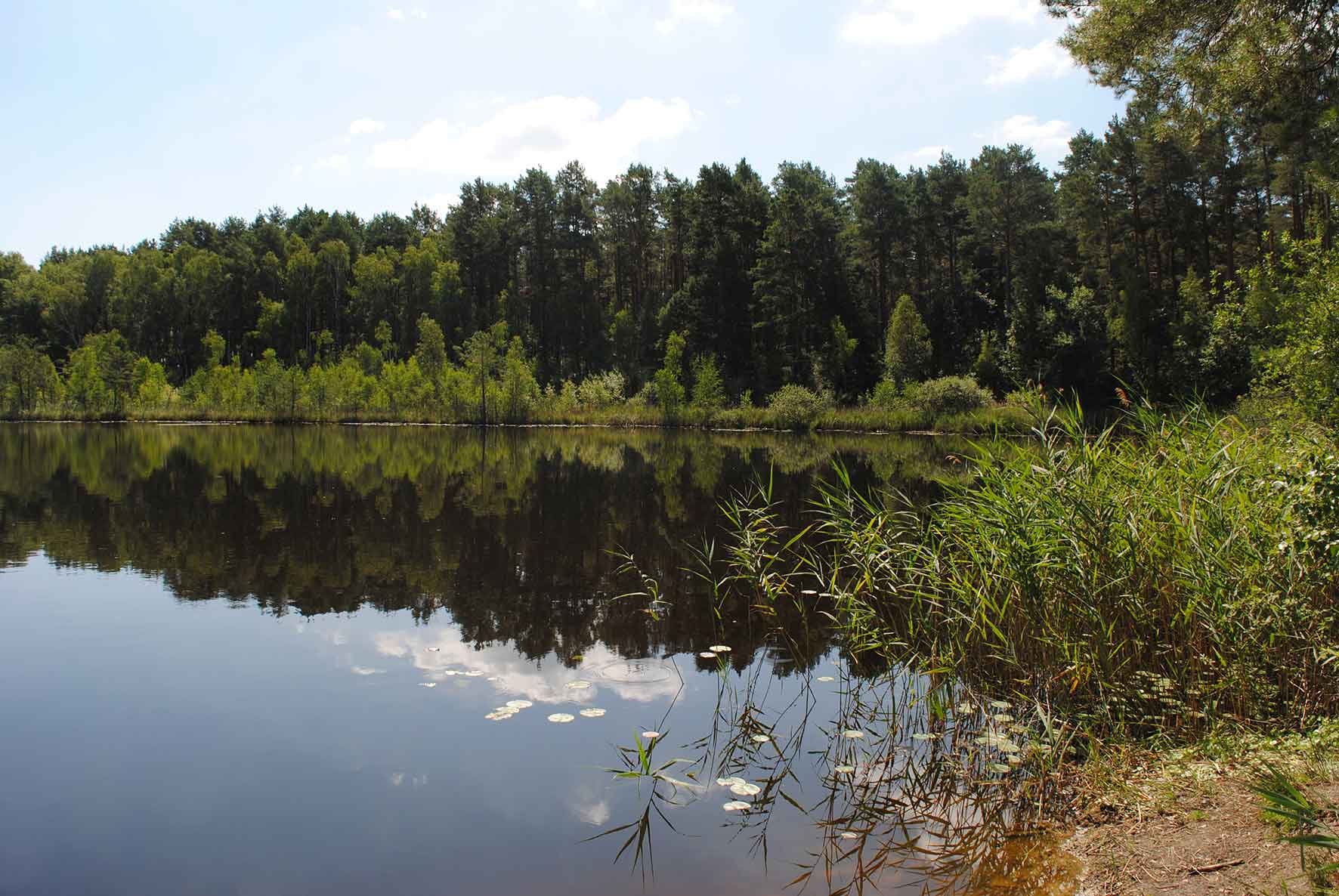 Dahme Heidesee Reuner