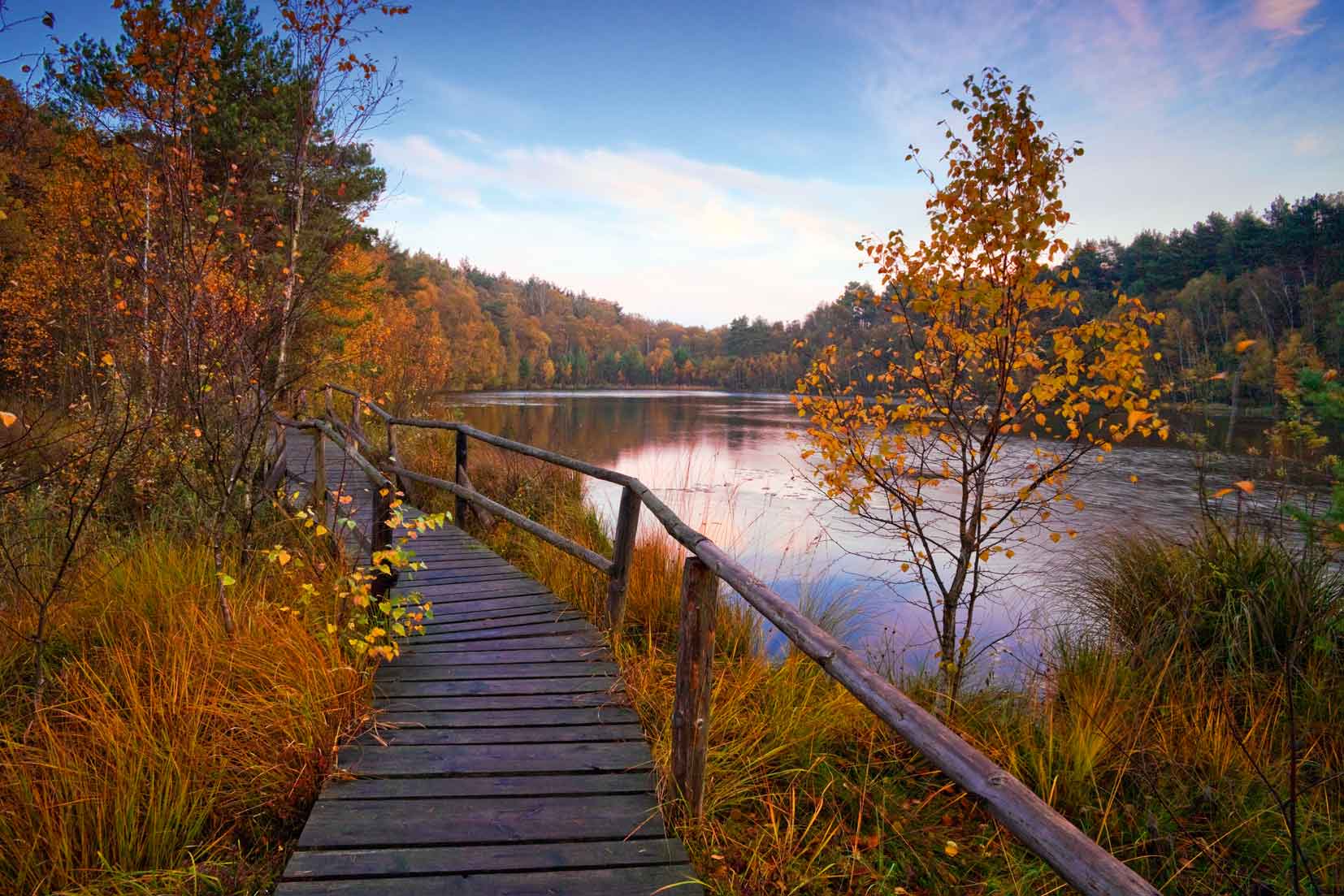 Mecklenburgische Seenplatte Zielow