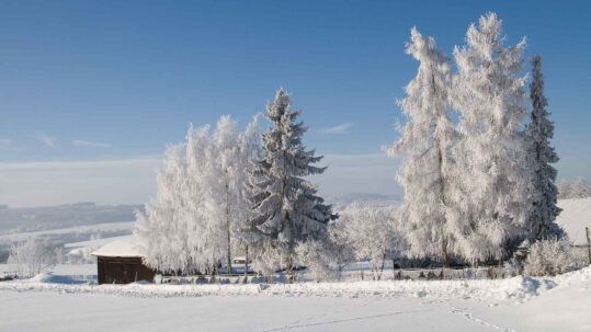 Winterurlaub Frankenwald Dobrachtal