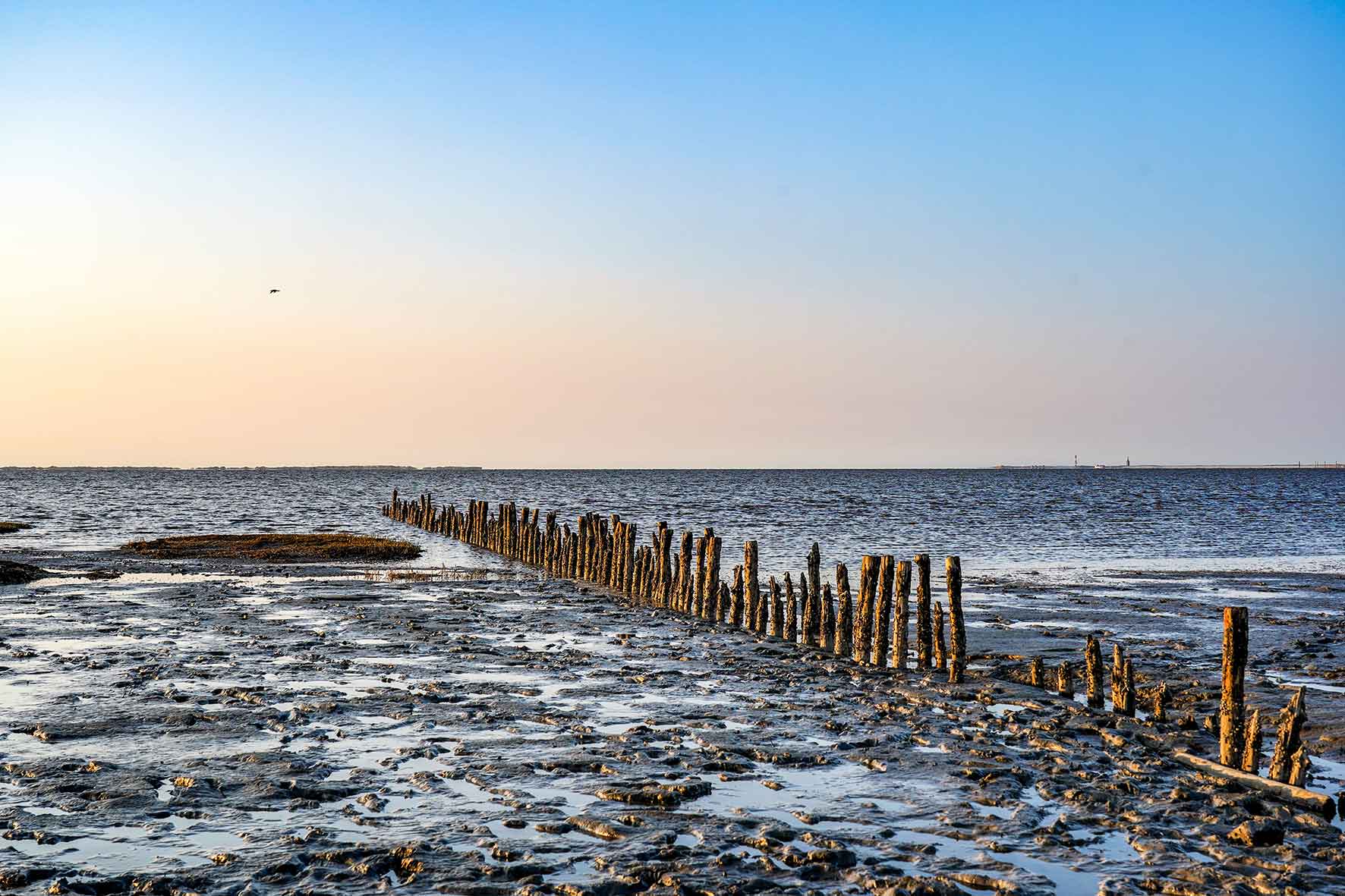 Wattenmeer Bendiks