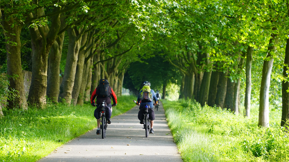 Weserbergland Fahrrad Höxter