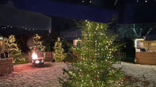 Weihnachtsbaum Weihnachten Weihnachtsmarkt Grüner Baum