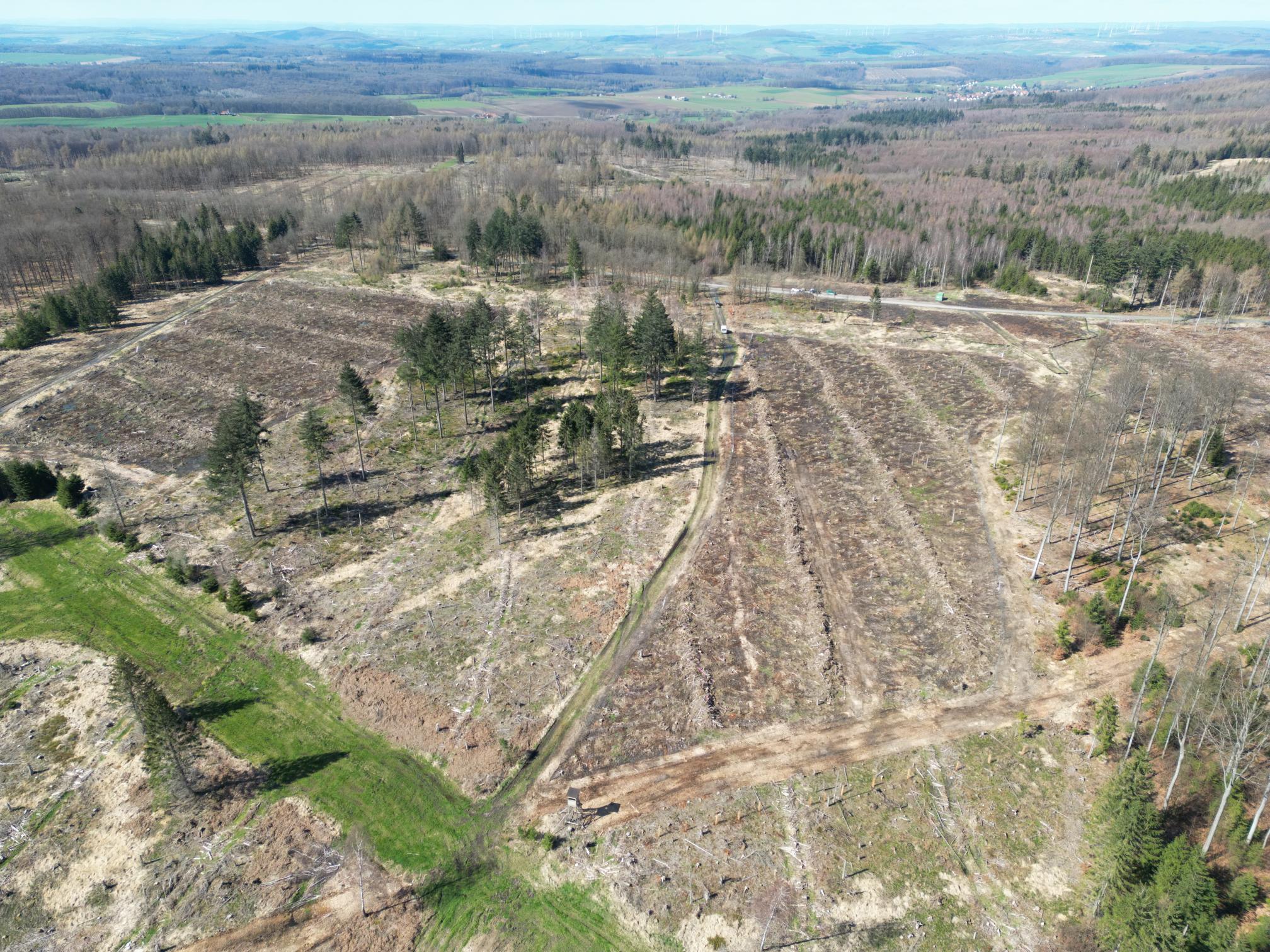 Flair Wald HessenForst