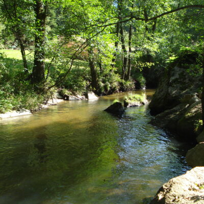 Natur erleben